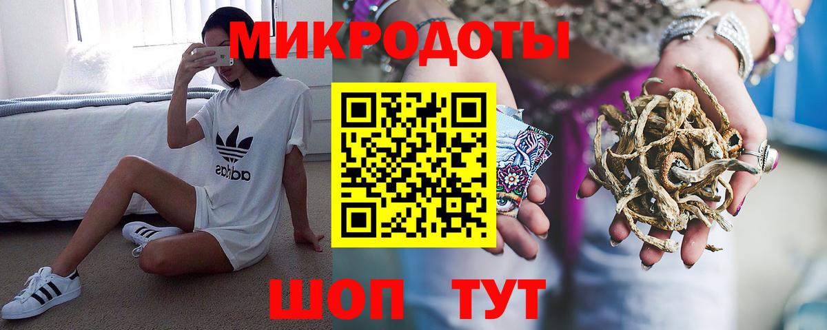 Галлюциногенные грибы Psilocybine cubensis Химки